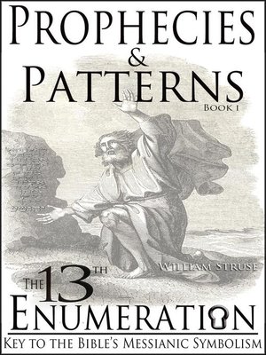 cover image of The 13th Enumeration